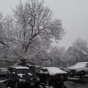 Meet your Posher, Ji hoon